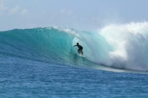 surfing, waves, paradise-2686393.jpg