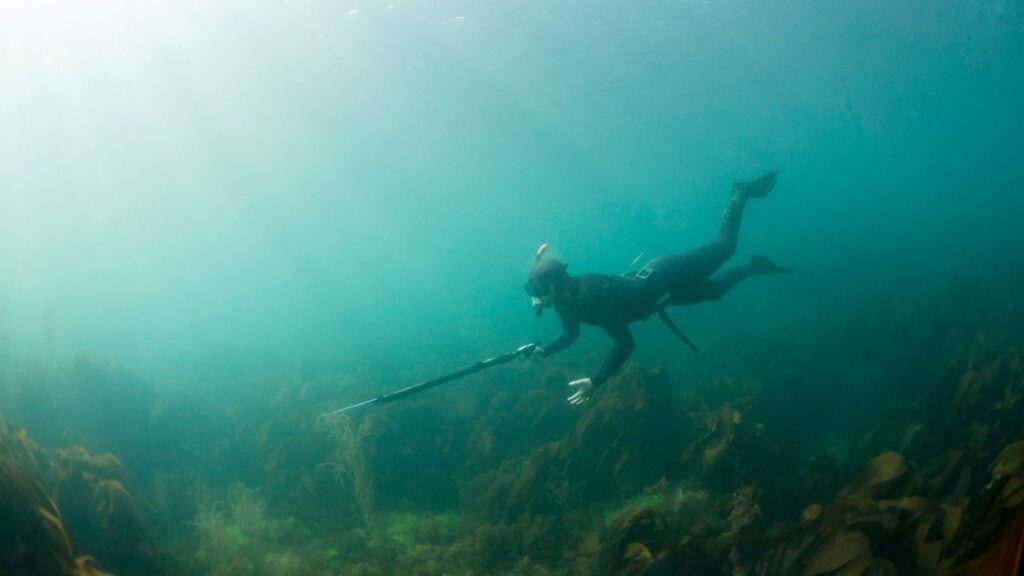 Pesca Sub, Caça Submarina.