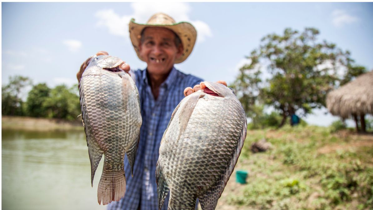 Pescador Ribeirinho