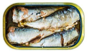 Sardinha, Sardine, Sardina pilchardus