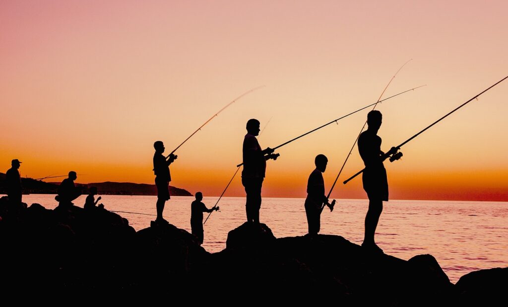 fishing, sunset, nature-4933219.jpg