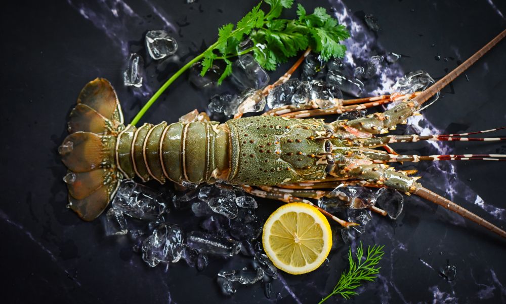 Lagosta (Lobster) Fresca: Sabores Excepcionais da Culinária Marítima

